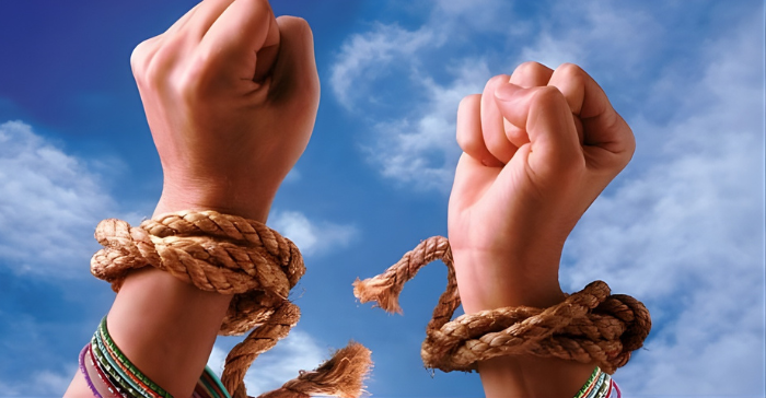 Certified Imports (1)